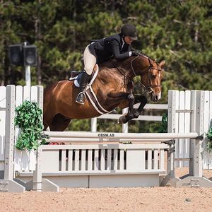 Meet your Posher, Joanna